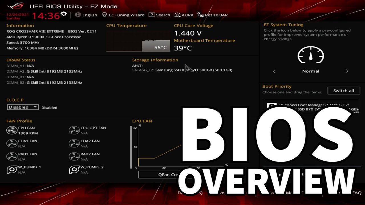YouTube video player
