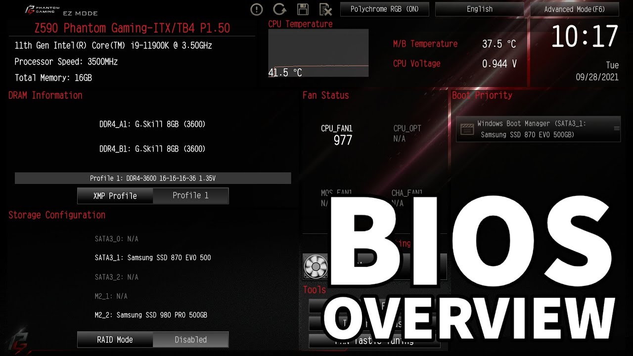 YouTube video player