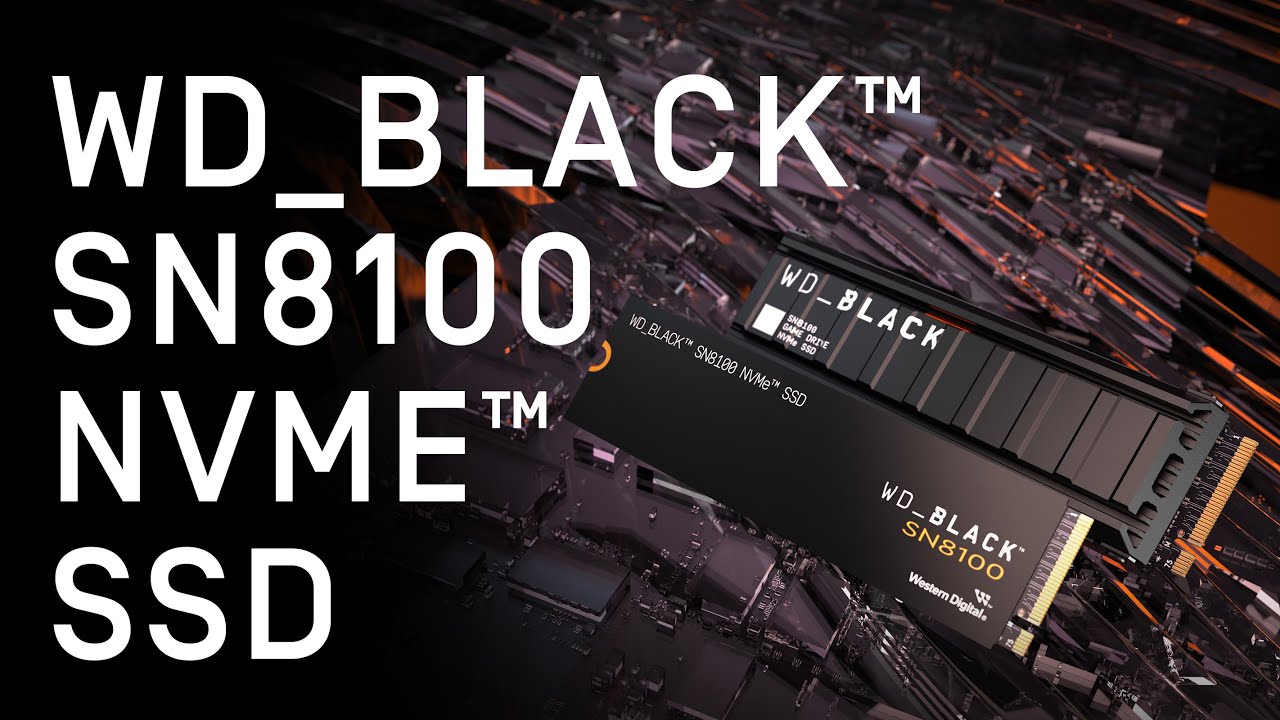 WD_BLACK™ SN8100 NVMe™ SSD