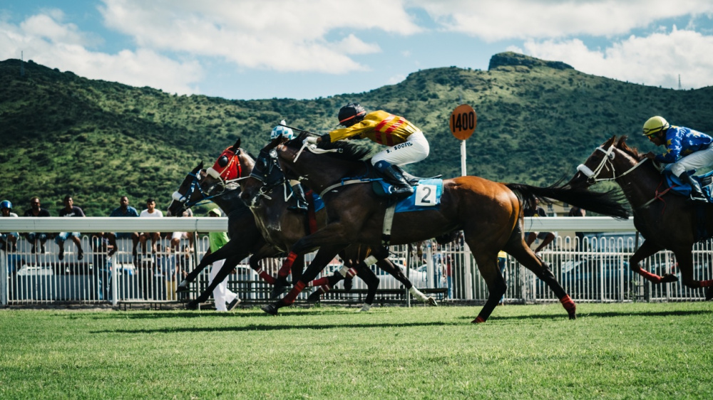 horse race sports racing jockey race track 1404257 pxhere.com