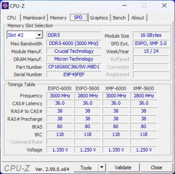 crucial pro ddr5 info2