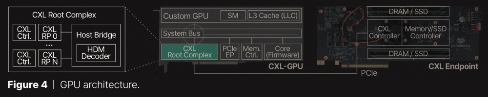 panmesia cxl 3